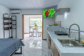 Studio with AC, Smart TV, Kitchen, Bath Pool 2